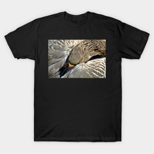 Snoozing Goose T-Shirt